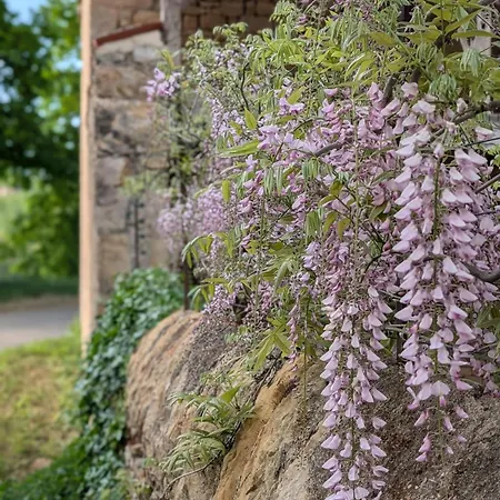 Le Pigeonnier De La Jalberterie Tatil Evi